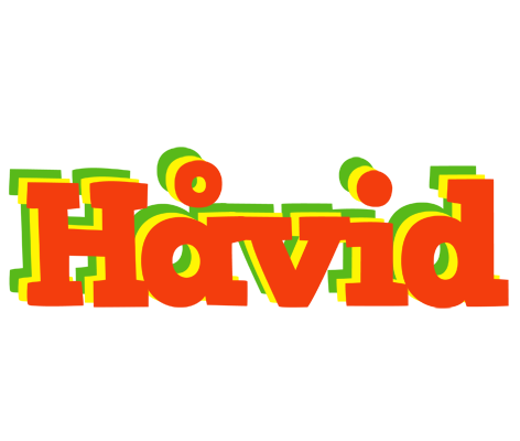 Håvid bbq logo