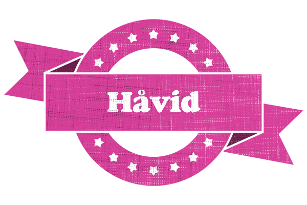 Håvid beauty logo