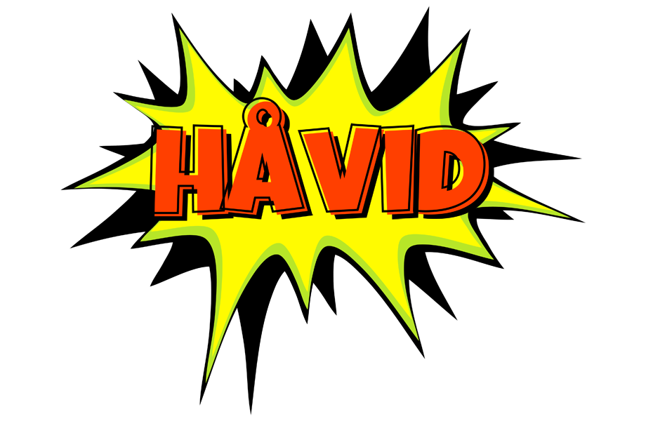 Håvid bigfoot logo