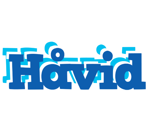 Håvid business logo