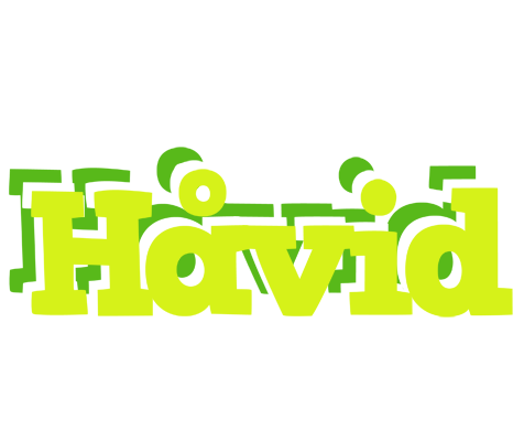 Håvid citrus logo