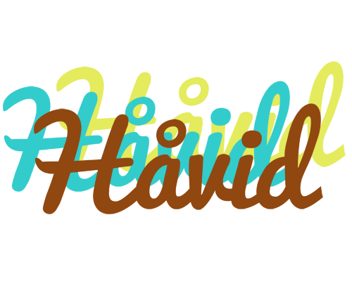 Håvid cupcake logo