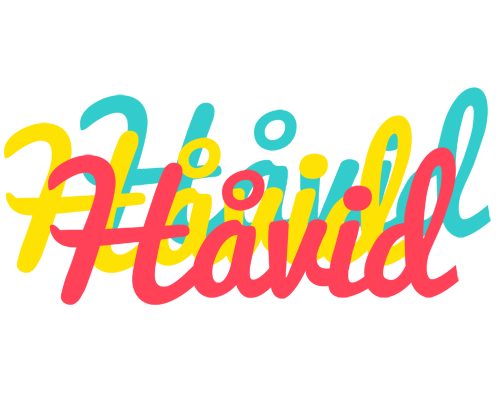 Håvid disco logo