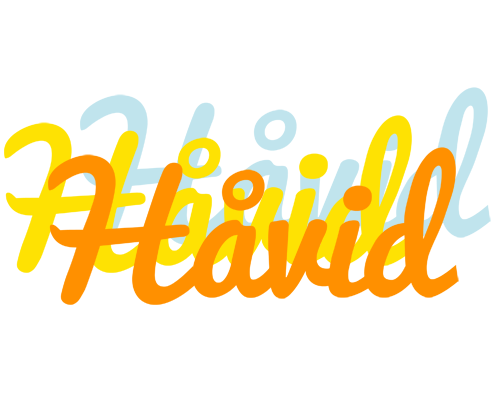 Håvid energy logo
