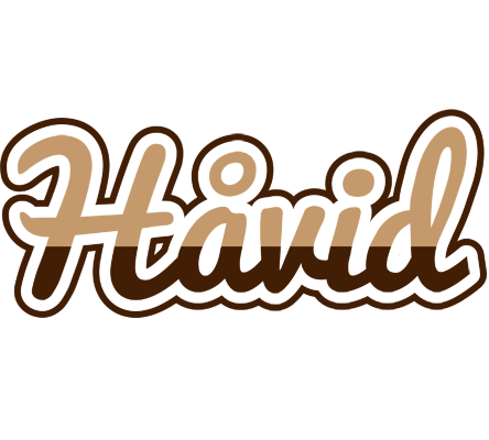 Håvid exclusive logo