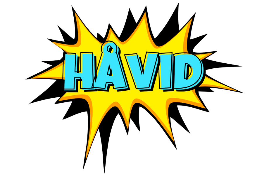 Håvid indycar logo