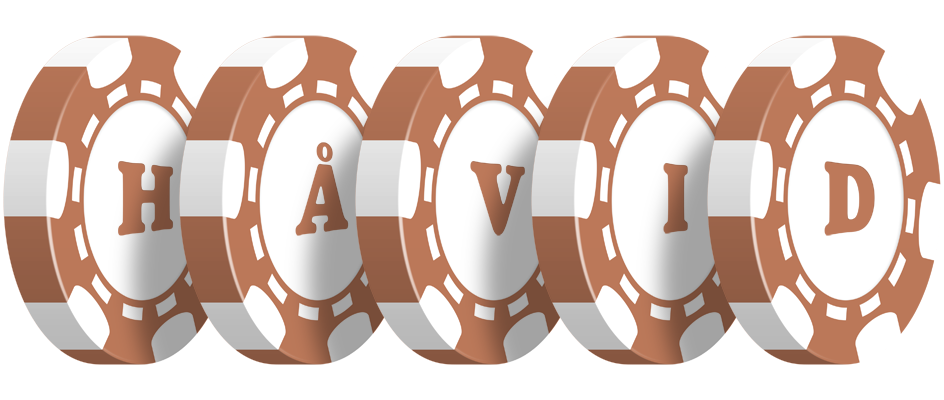 Håvid limit logo