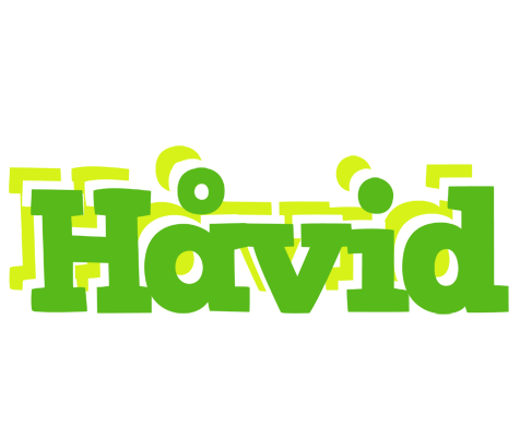 Håvid picnic logo