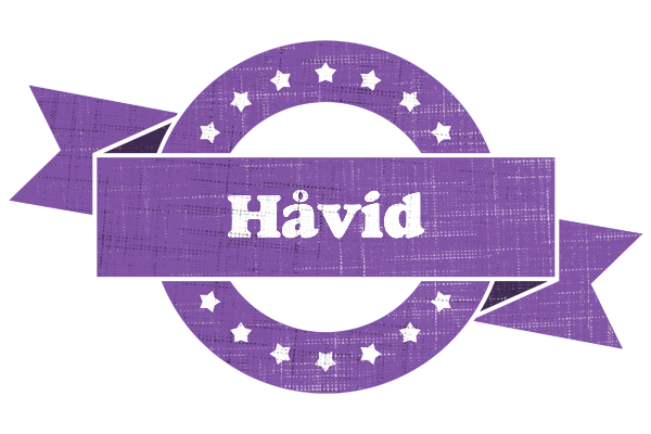 Håvid royal logo