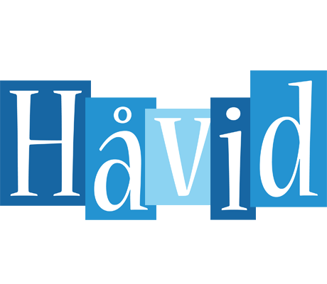 Håvid winter logo