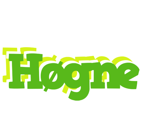 Høgne picnic logo