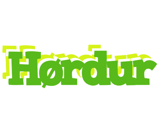 Hørdur picnic logo