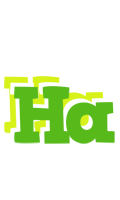 Ha picnic logo