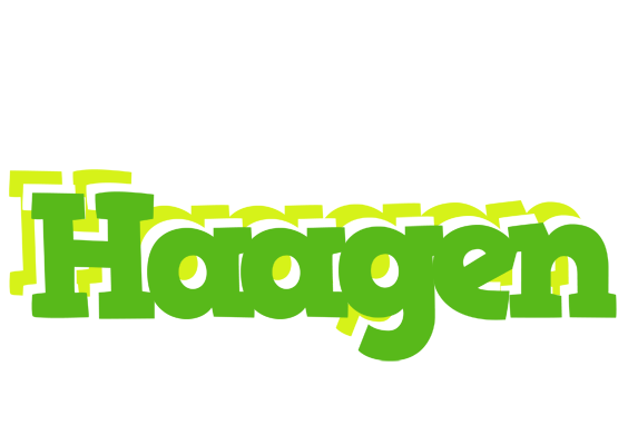 Haagen picnic logo
