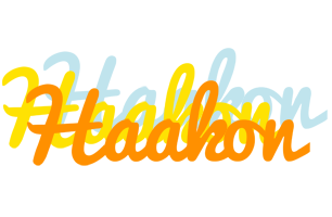 Haakon energy logo