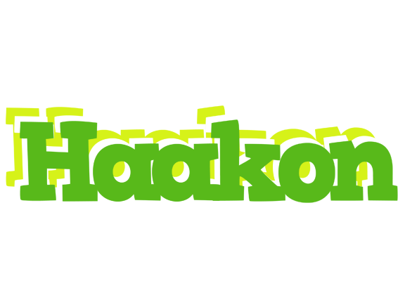 Haakon picnic logo