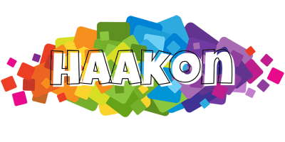 Haakon pixels logo