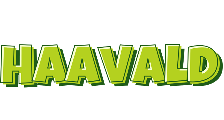 Haavald summer logo