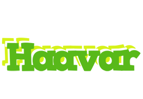 Haavar picnic logo