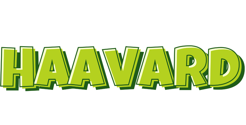 Haavard summer logo