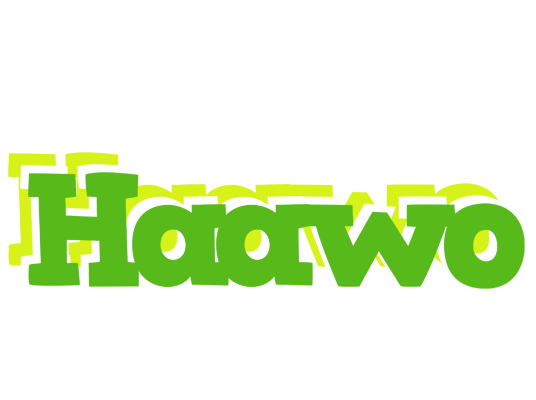 Haawo picnic logo