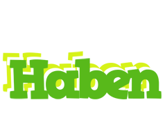 Haben picnic logo