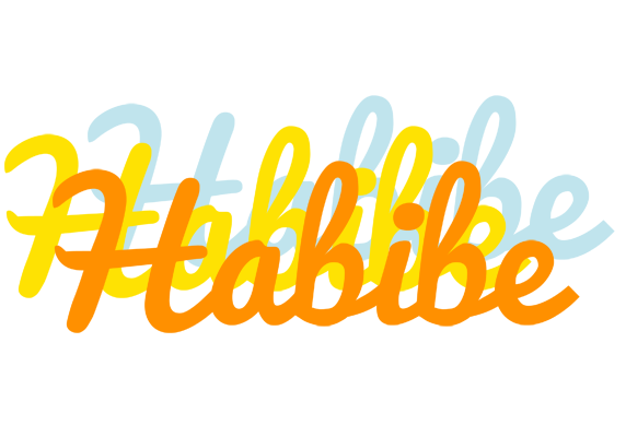 Habibe energy logo
