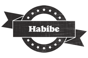 Habibe grunge logo