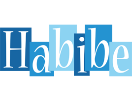 Habibe winter logo