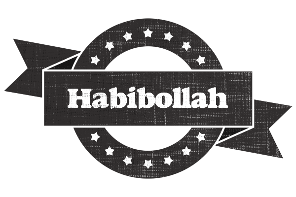 Habibollah grunge logo