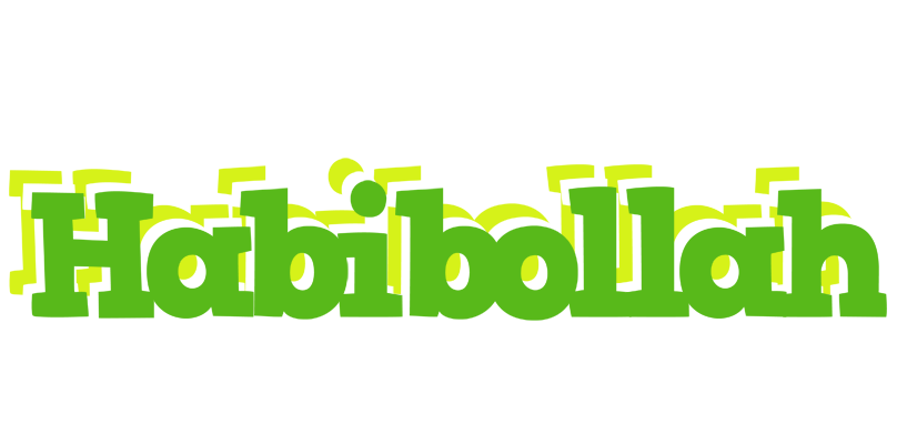Habibollah picnic logo