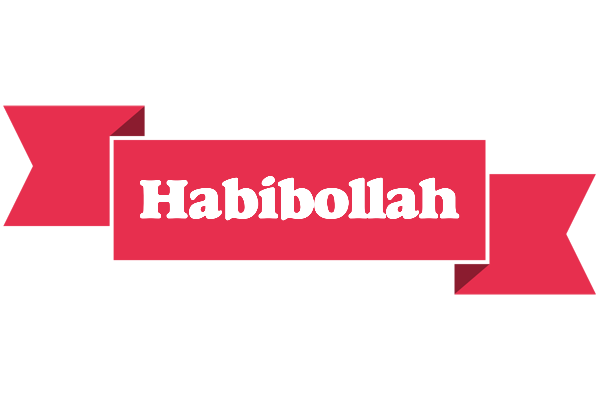 Habibollah sale logo