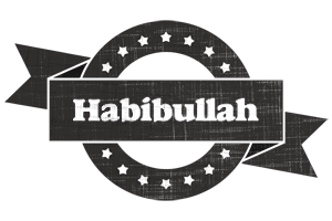 Habibullah grunge logo