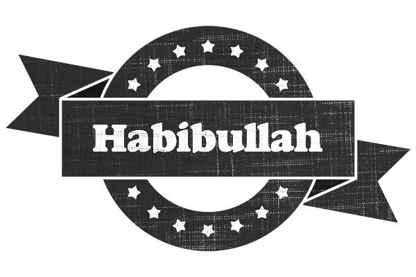 Habibullah grunge logo