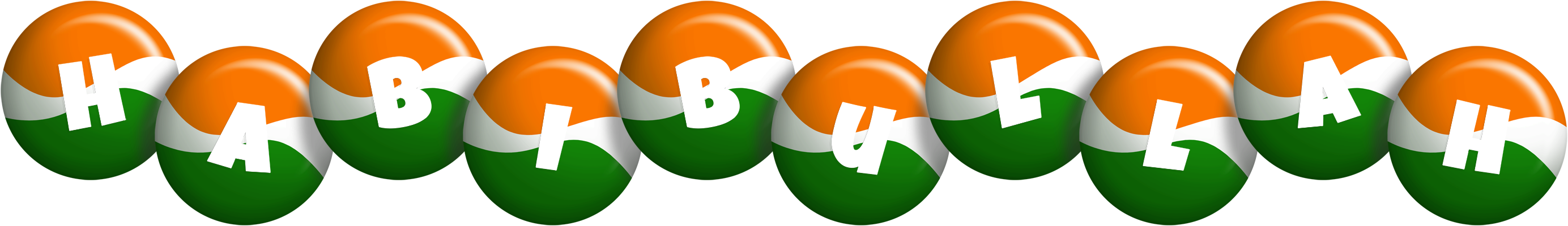 Habibullah india logo