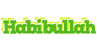 Habibullah picnic logo