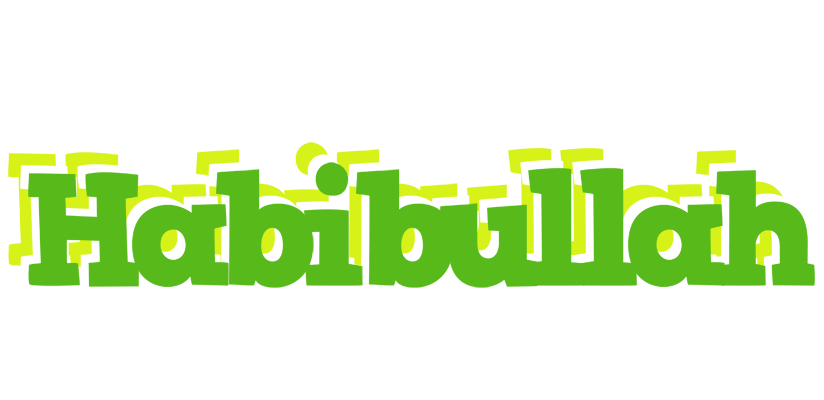 Habibullah picnic logo