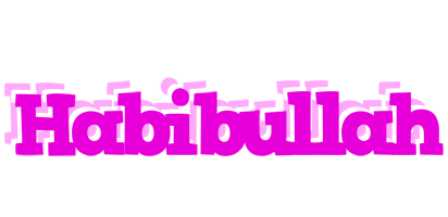 Habibullah rumba logo