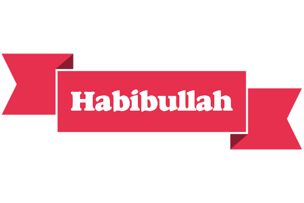 Habibullah sale logo