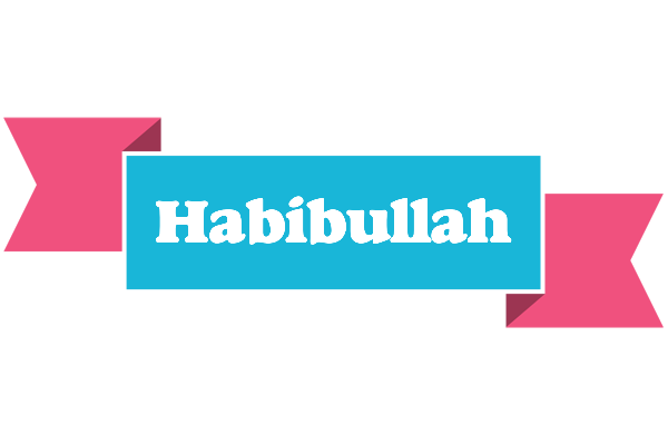 Habibullah today logo