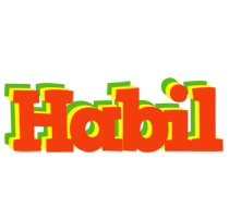 Habil bbq logo