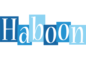Haboon winter logo