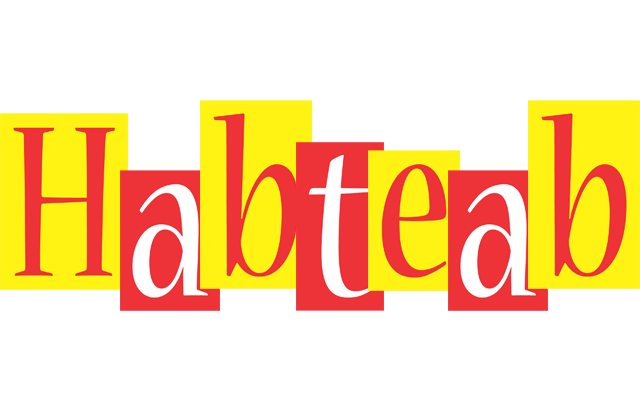 Habteab errors logo