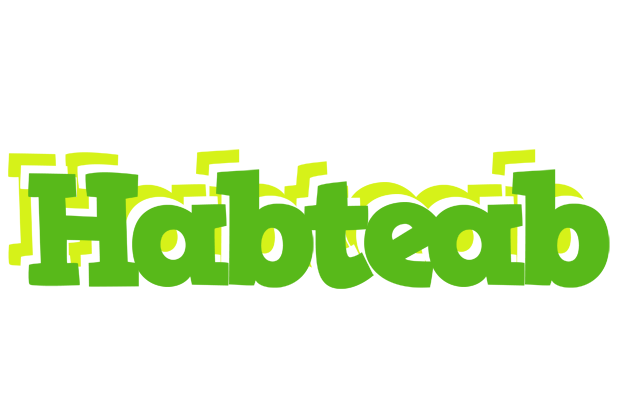 Habteab picnic logo