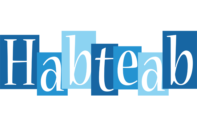 Habteab winter logo