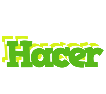 Hacer picnic logo