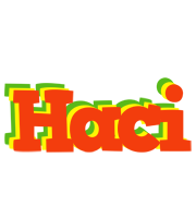 Haci bbq logo