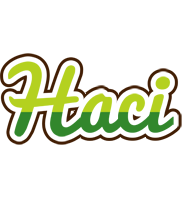 Haci golfing logo