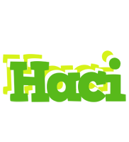 Haci picnic logo