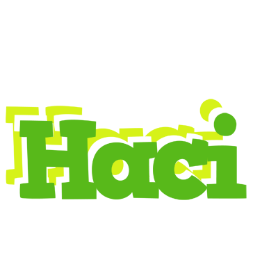 Haci picnic logo